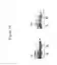 Fig. 16 - FUNCTIONAL PROTEIN ARRAYS