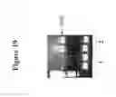 Fig. 20 - FUNCTIONAL PROTEIN ARRAYS