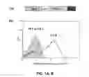 Fig. 02 - Neutralizing Agents for Bacterial Toxins