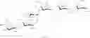 Fig. 23 - Sugar chain added GLP-1 peptide