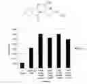Fig. 01 - Thalidomide analogs