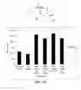 Fig. 11 - Thalidomide analogs