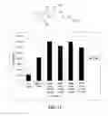Fig. 12 - Thalidomide analogs