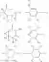 Fig. 58 - Thalidomide analogs