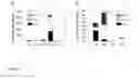 Fig. 04 - TREATMENT