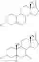 Fig. 10 - Use of DHEA derivatives for enhancing physical performance