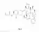 Fig. 07 - Compounds for treating proliferative disorders