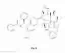 Fig. 09 - Compounds for treating proliferative disorders