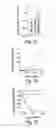 Fig. 05 - RNA sequence-specific mediators of RNA interference