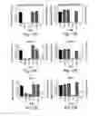 Fig. 12 - RNA sequence-specific mediators of RNA interference