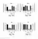 Fig. 13 - RNA sequence-specific mediators of RNA interference