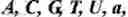 Fig. 02 - Nuclease resistant double-stranded ribonucleic acid