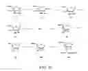 Fig. 23 - Oligonucleotide analogues