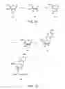 Fig. 28 - Oligonucleotide analogues