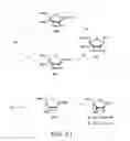 Fig. 35 - Oligonucleotide analogues