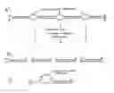 Fig. 01 - DOUBLE-STRANDED RNA STRUCTURES AND CONSTRUCTS, AND METHODS FOR GENERATING AND USING THE SAME