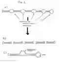 Fig. 03 - DOUBLE-STRANDED RNA STRUCTURES AND CONSTRUCTS, AND METHODS FOR GENERATING AND USING THE SAME