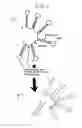 Fig. 04 - DOUBLE-STRANDED RNA STRUCTURES AND CONSTRUCTS, AND METHODS FOR GENERATING AND USING THE SAME