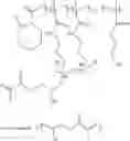 Fig. 02 - Polyvinylamide Polymers Containing Polymerizable Functionalities