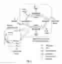 Fig. 03 - Solvent resistant diafiltration of peptides, PNA or oligonucleotides