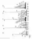 Fig. 08 - Solvent resistant diafiltration of peptides, PNA or oligonucleotides