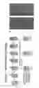 Fig. 02 - Highly thermostable fluorescent proteins