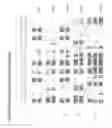 Fig. 03 - Highly thermostable fluorescent proteins