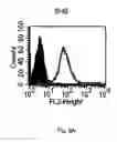 Fig. 09 - Antibody specific for B7-H5, a costimulatory polypeptide