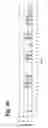 Fig. 37 - IMMUNOGLOBULINS