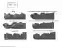 Fig. 14 - Engineered Listeria and methods of use thereof