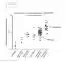Fig. 26 - Engineered Listeria and methods of use thereof
