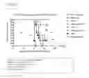 Fig. 41 - Engineered Listeria and methods of use thereof