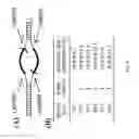 Fig. 05 - Method for inhibiting function of micro-RNA