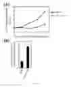 Fig. 12 - Method for inhibiting function of micro-RNA
