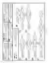 Fig. 15 - Method for inhibiting function of micro-RNA