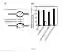 Fig. 27 - Method for inhibiting function of micro-RNA