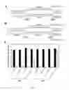 Fig. 32 - Method for inhibiting function of micro-RNA