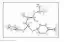 Fig. 01 - Stereoselective synthesis of phosphorus containing actives