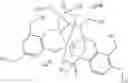 Fig. 19 - Hydroxylated contrast enhancement agents