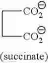 Fig. 43 - Hydroxylated contrast enhancement agents