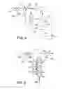 Fig. 05 - Process for increasing weight of olefins