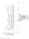 Fig. 03 - Process for xylene and ethylbenzene isomerization using UZM-35