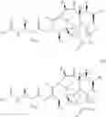 Fig. 24 - COMBINATION WITH BIS (THIOHYDRAZIDE AMIDES) FOR TREATING CANCER