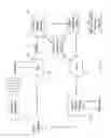 Fig. 48 - CLOSED LOOP GASTRIC RESTRICTION DEVICES AND METHODS