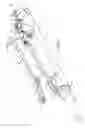 Fig. 03 - Surgical handpiece for endoscopic resection