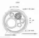 Fig. 03 - SOLID-STATE IMAGE PICKUP DEVICE AND ENDOSCOPIC DEVICE