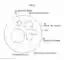 Fig. 04 - SOLID-STATE IMAGE PICKUP DEVICE AND ENDOSCOPIC DEVICE