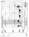 Fig. 07 - Patient data display