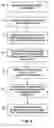 Fig. 08 - Patient data display