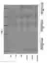 Fig. 08 - MAGNETIC RESONANCE IMAGING APPARATUS AND PULSE SEQUENCE ADJUSTING METHOD